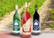 Domaine du Puits de Ronze