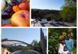 B&B Domaine des Loriots - Villeneuve de Berg