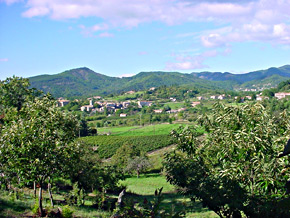 Vue sur le village de Joannas