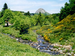 Le Mont Gerbier des Joncs